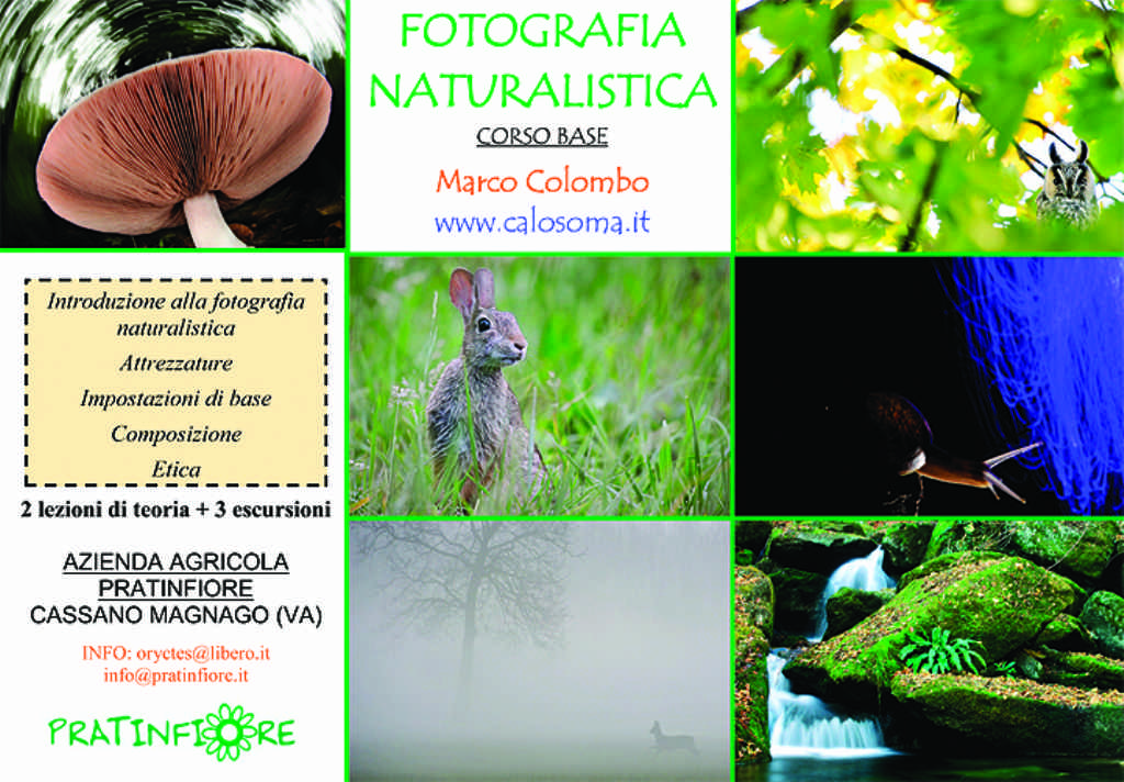 corso base di fotografia naturalistica + degustazione prodotti km0